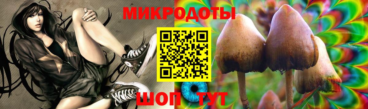 Галлюциногенные грибы мухоморы Муравленко
